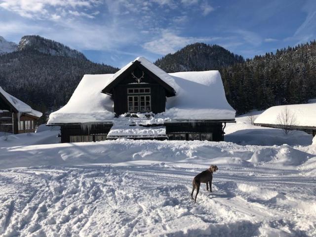 Die Alte Blaa Altaussee Dış mekan fotoğraf