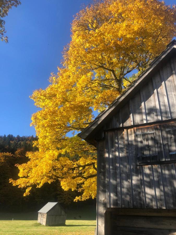 Die Alte Blaa Altaussee Dış mekan fotoğraf