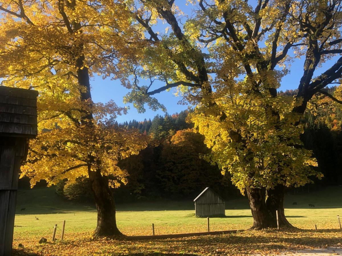 Die Alte Blaa Altaussee Dış mekan fotoğraf