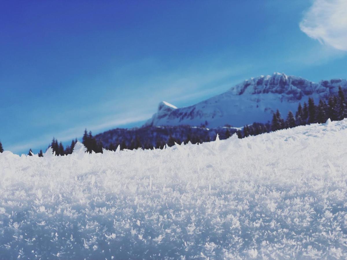Die Alte Blaa Altaussee Dış mekan fotoğraf