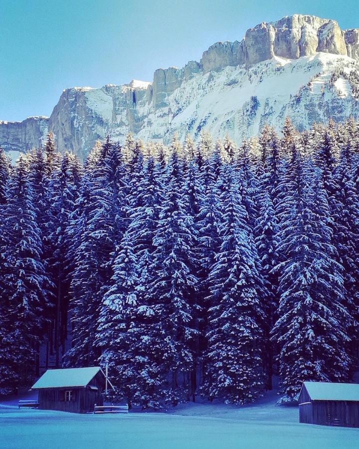 Die Alte Blaa Altaussee Dış mekan fotoğraf